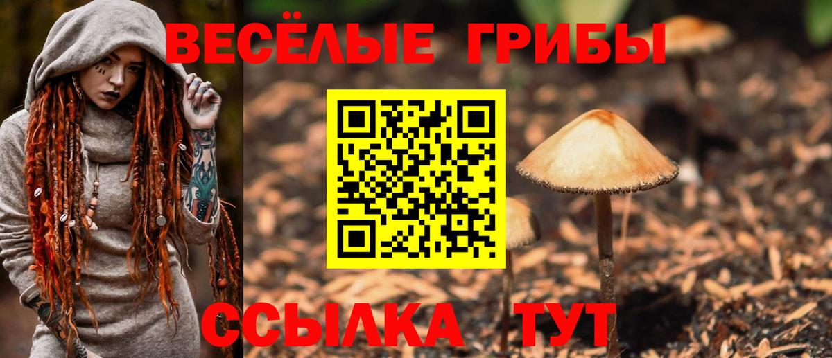 Псилоцибиновые грибы GOLDEN TEACHER Бийск
